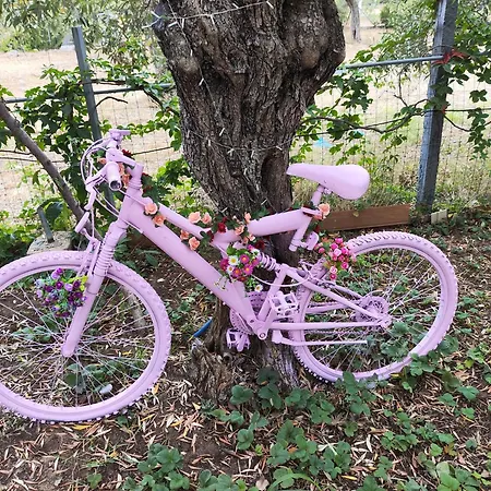 Koula 2-petros Apartman