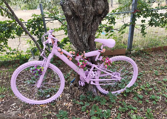 Koula 2-petros Apartament